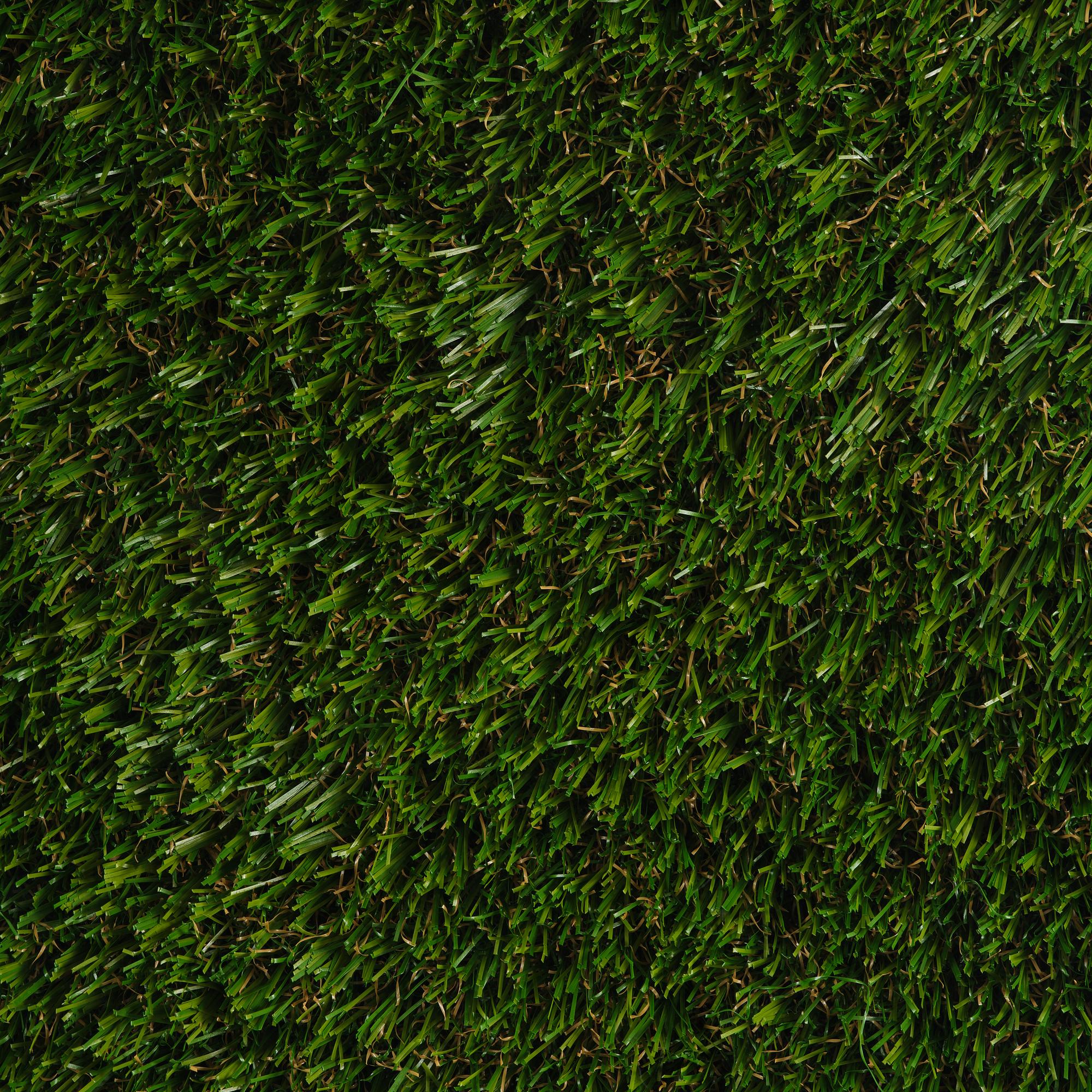 Yves Scherer, "Fructis Hardcore (1)".