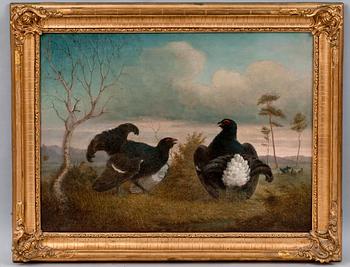 Johan Jakob Reinberg, SPEL.