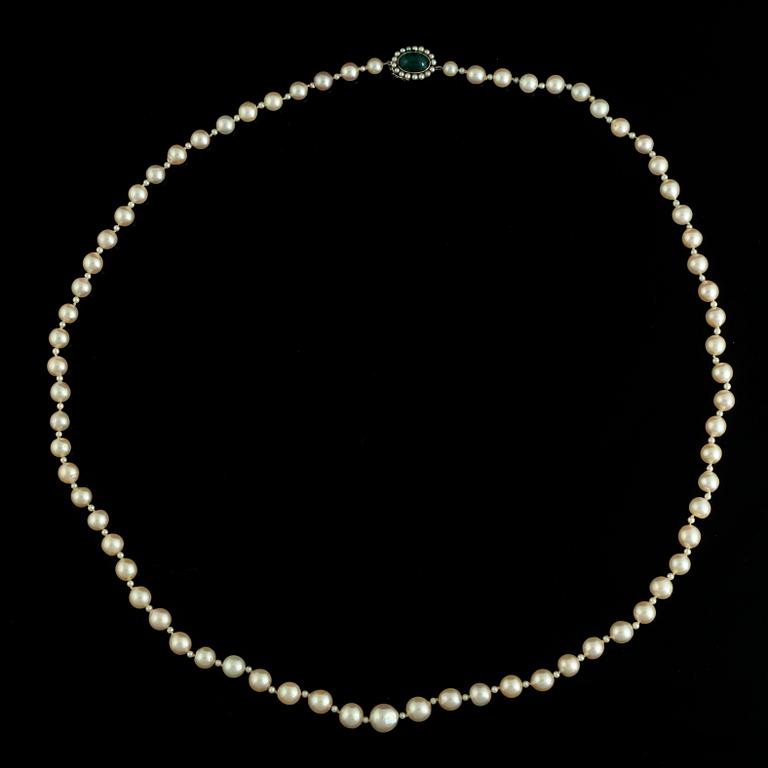 A cultured pearl necklace.