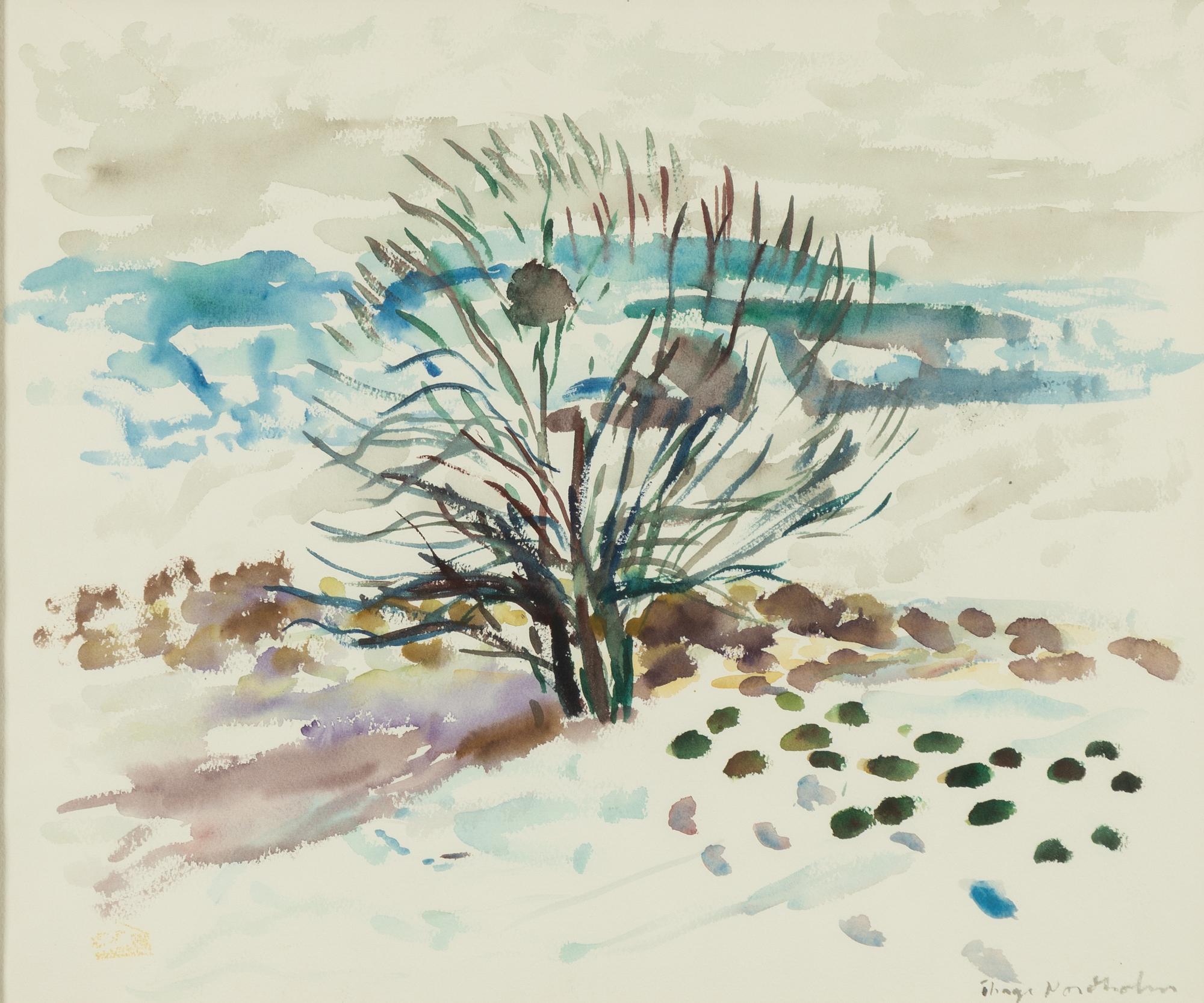 Thage Nordholm,  "Vårvinter, Multrå".