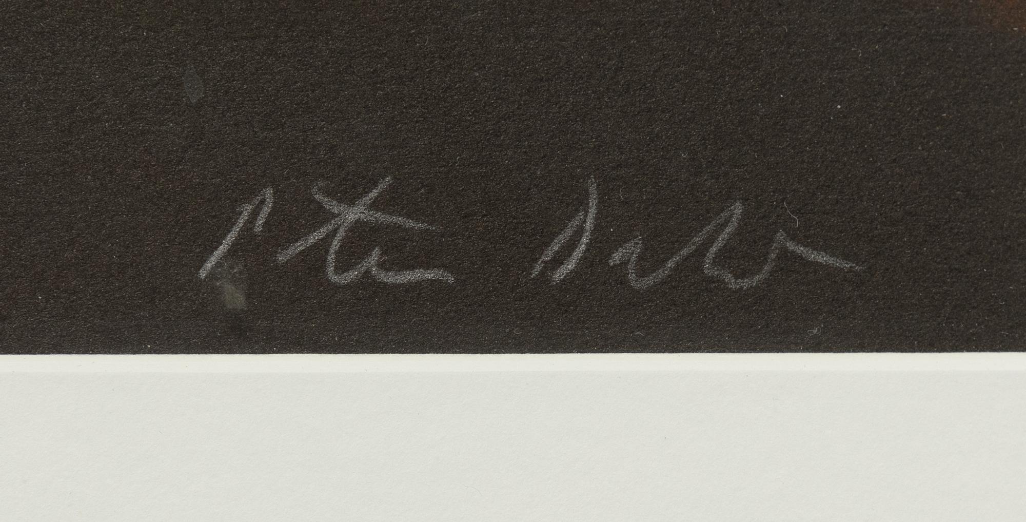 Peter Dahl, lithograph in colours, signed and numbered EA XVI/XXXVII.