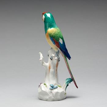 A Meissen figure of a parrot, circa 1900.