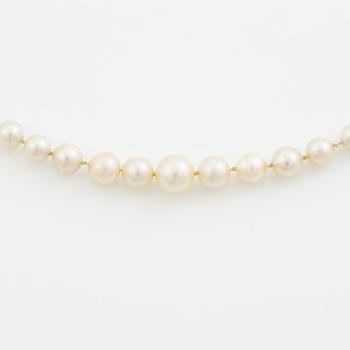 Necklace of pearls with an 18K gold clasp.