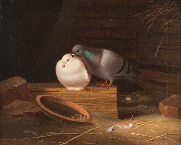 Ferdinand von Wright, Doves on the Attic.