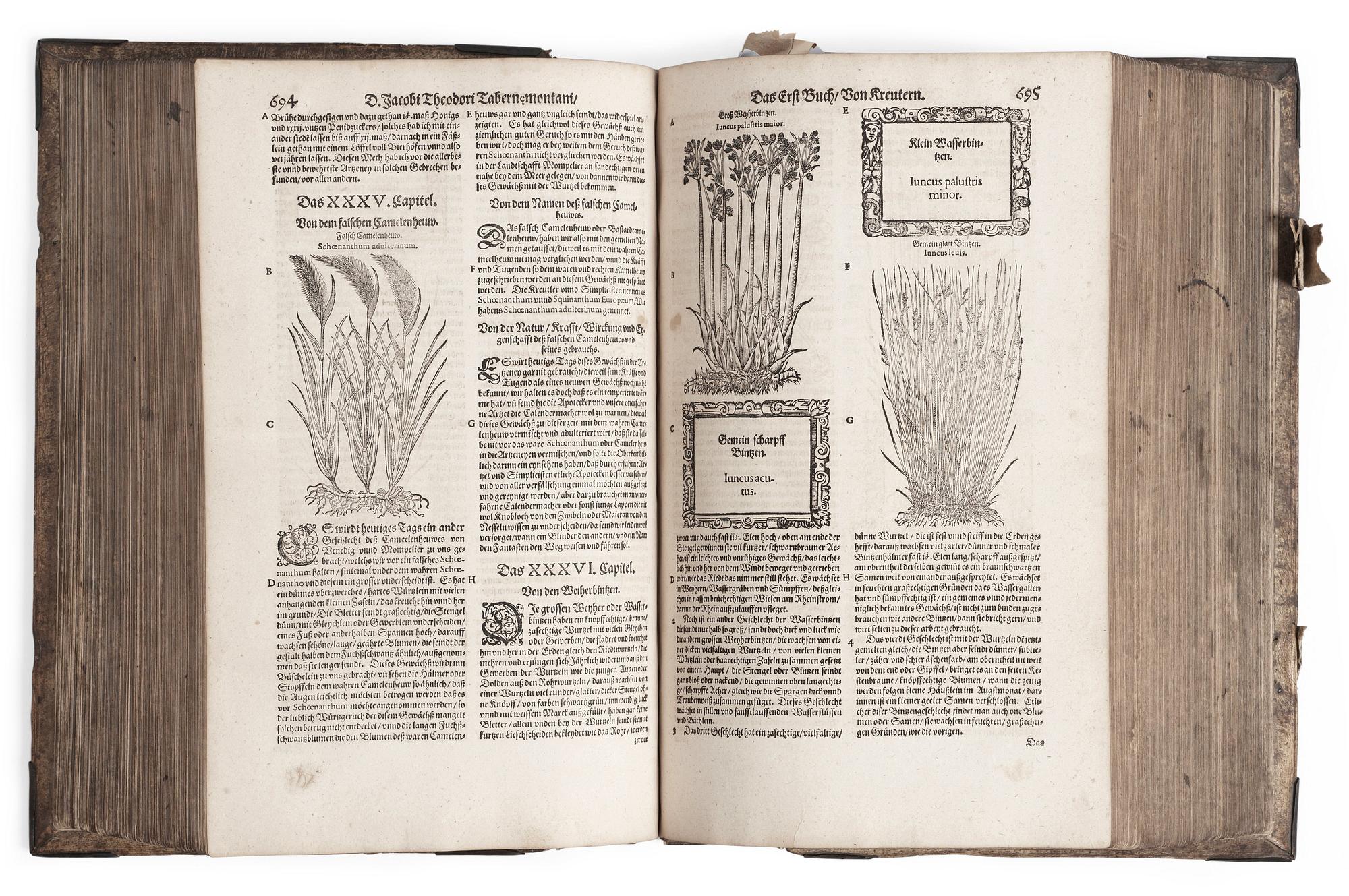 JACOBUS THEODOUS TABERNAEMONTANUS(1520-1590), Neuw Kreuterbuch, mit schönen, künstlichen.., Frankfurt 1588-91.