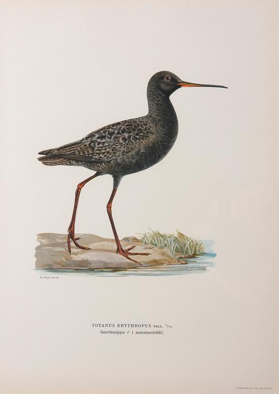 LITOGRAFIER, 6 st, efter von Wright, A. Börtzell, Stockholm.