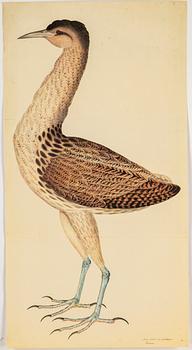 Olof Rudbeck the younger, after, a portfolio and two books, 1985. Numbered 285/1499.