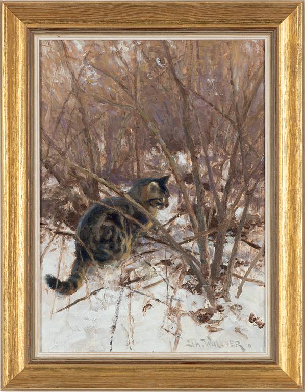 Thure Wallner, Sneaking Cat.