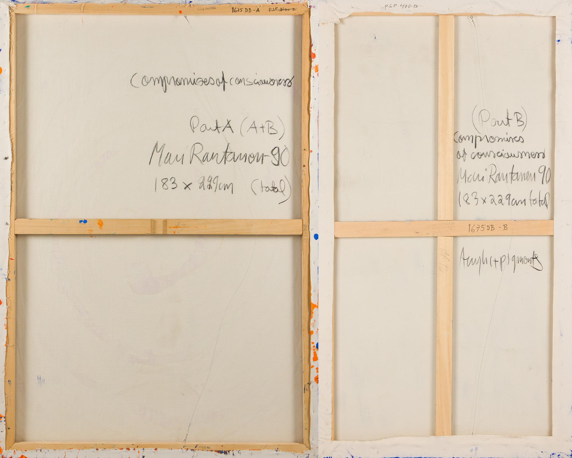 Mari Rantanen, "Compromises of Consciousness".