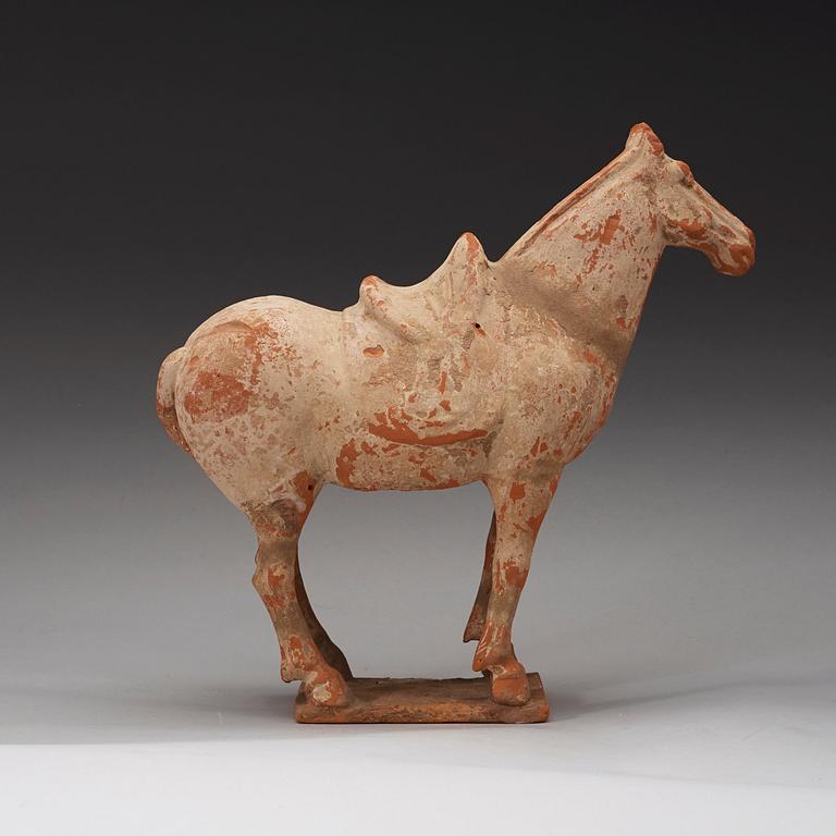 A pottery figure of a horse,  Tang dynasty (618-906).