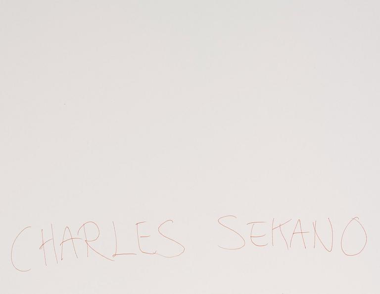Charles Sekano, "Combination".