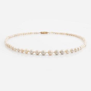 A pearl necklace.