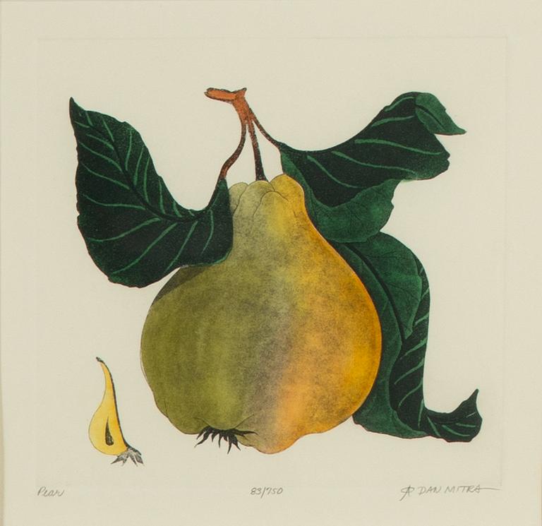 Dan Mitra, a suite of six etchings, framed together.