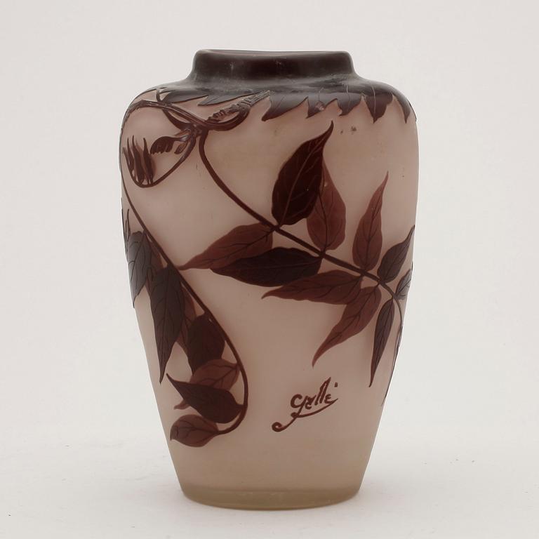 VAS, glas, Emile Gallé, Nancy, Frankrike, jugend.