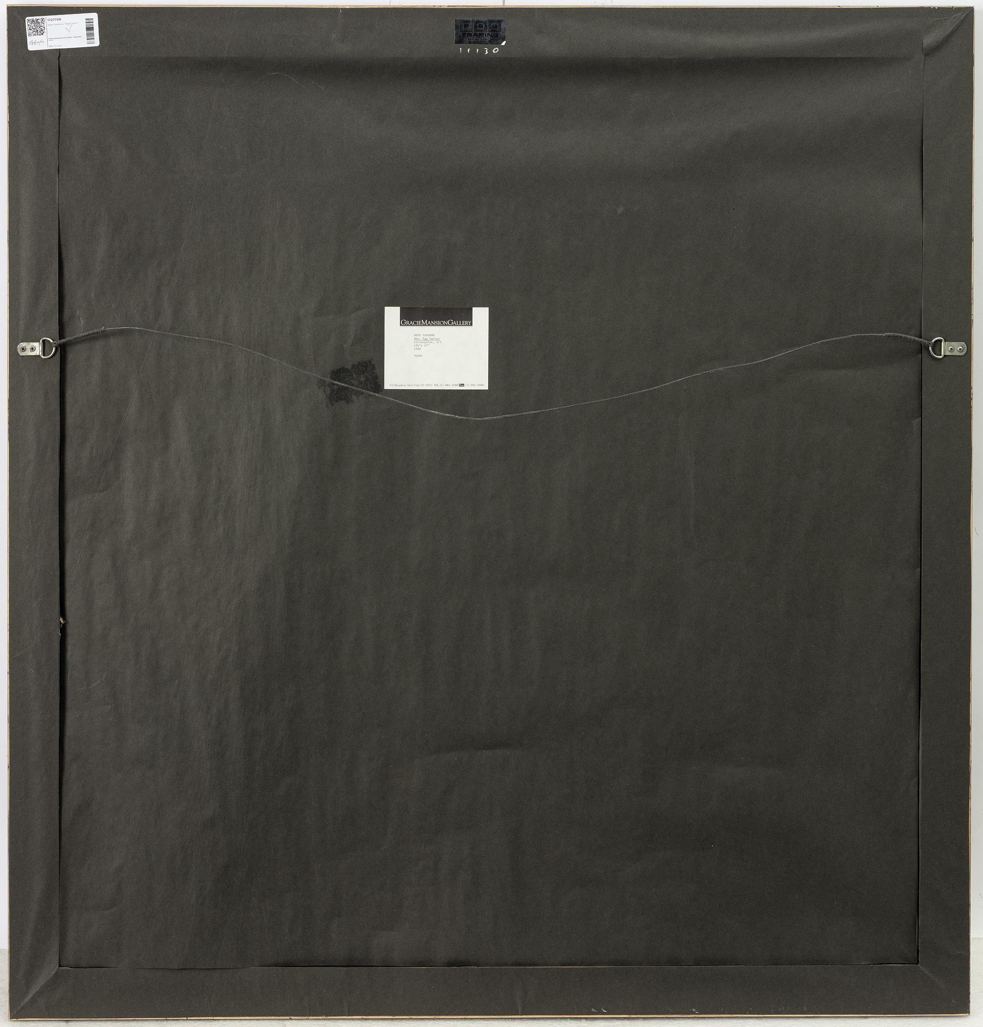 Hope Sandrow, "Egg Carton", 1989.
