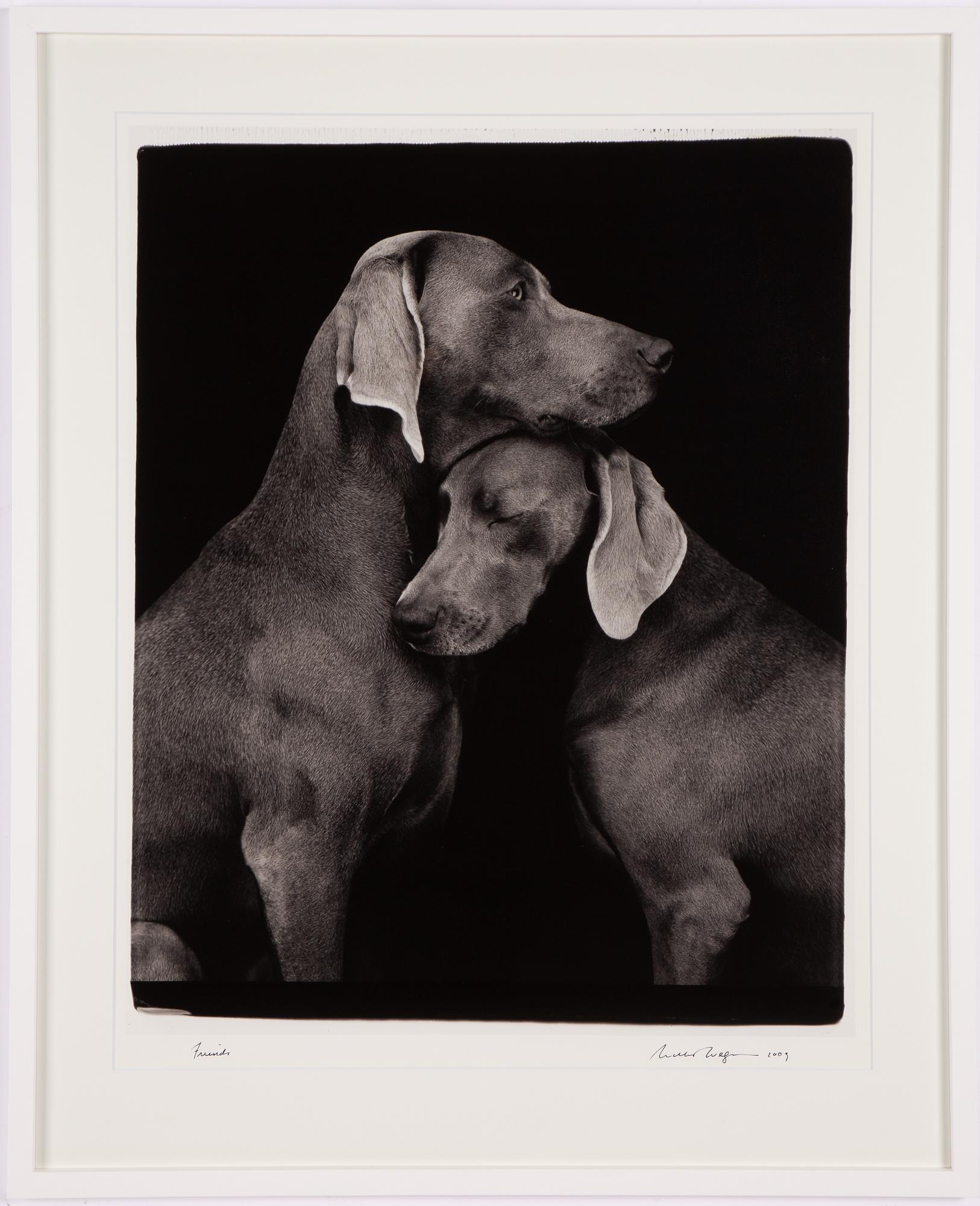 William Wegman, "Friends".