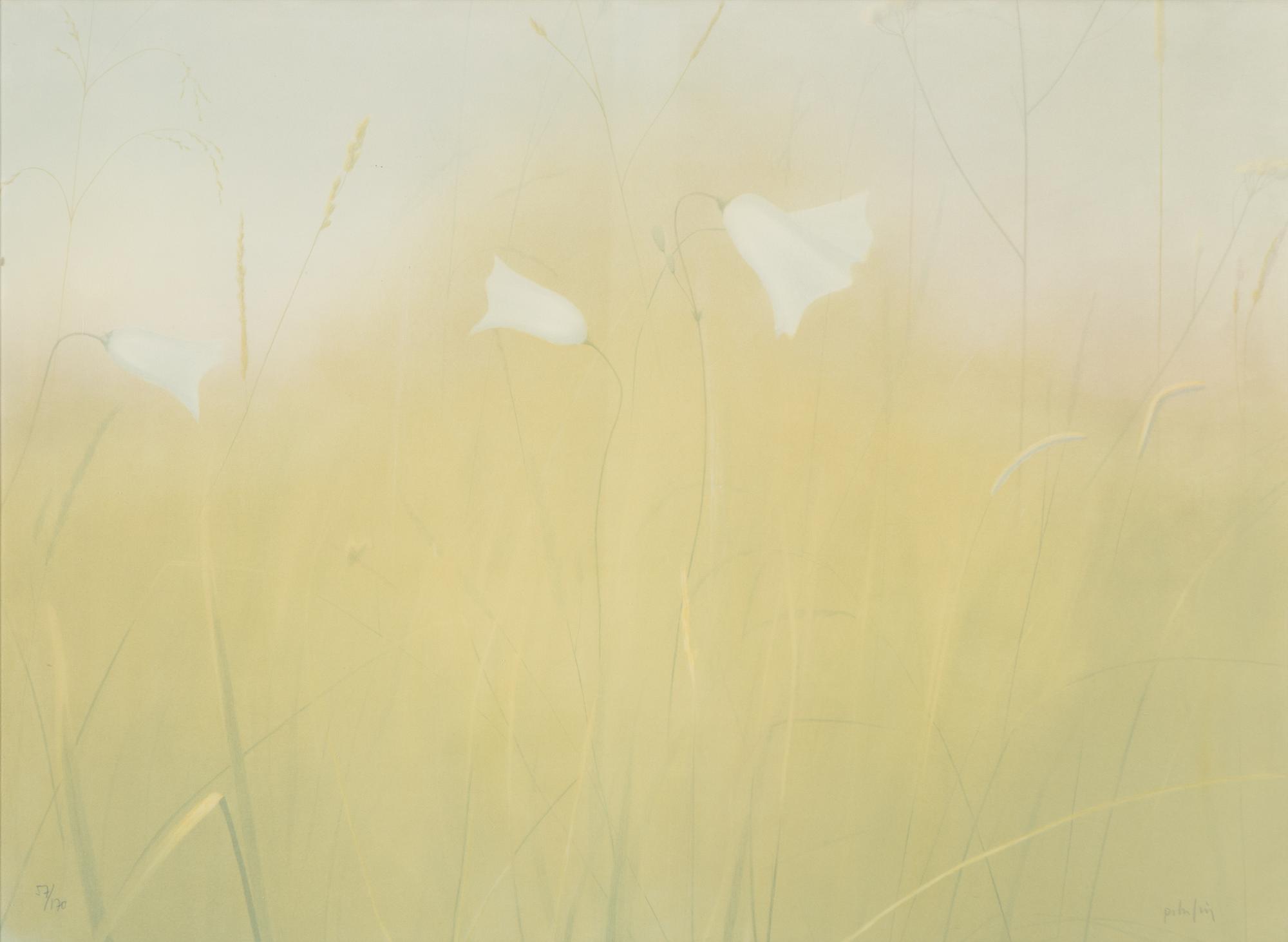 Peter Frie, lithograph, Meadow Flowers.