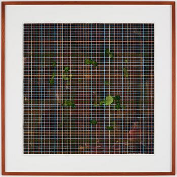 Elisabeth Frieberg, "A Third Layer No 1".