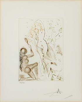 Salvador Dalí, “Blanchefleur” from “The Decameron”.