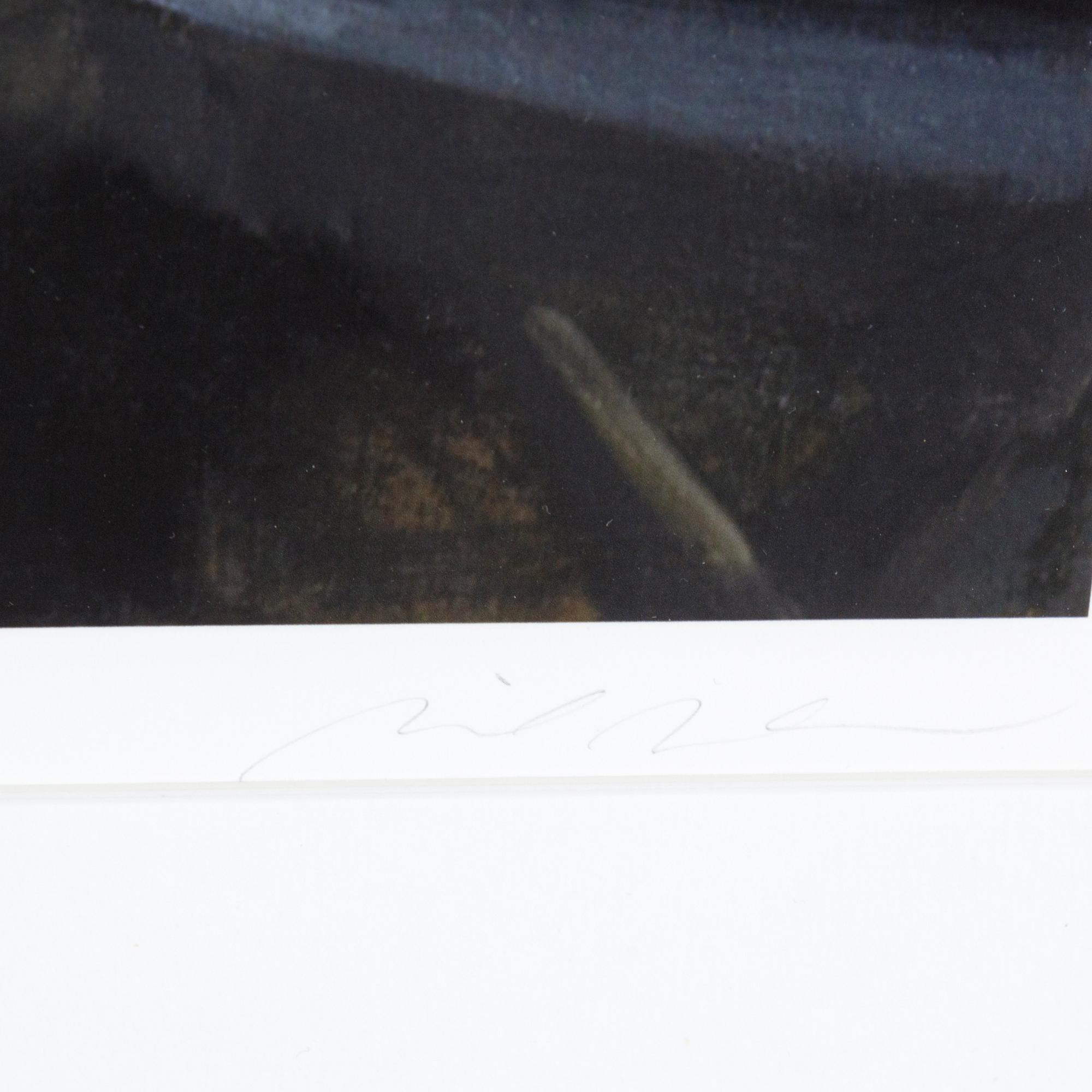 NICK ALM, pigment print, signerad och numrerad 63/90.