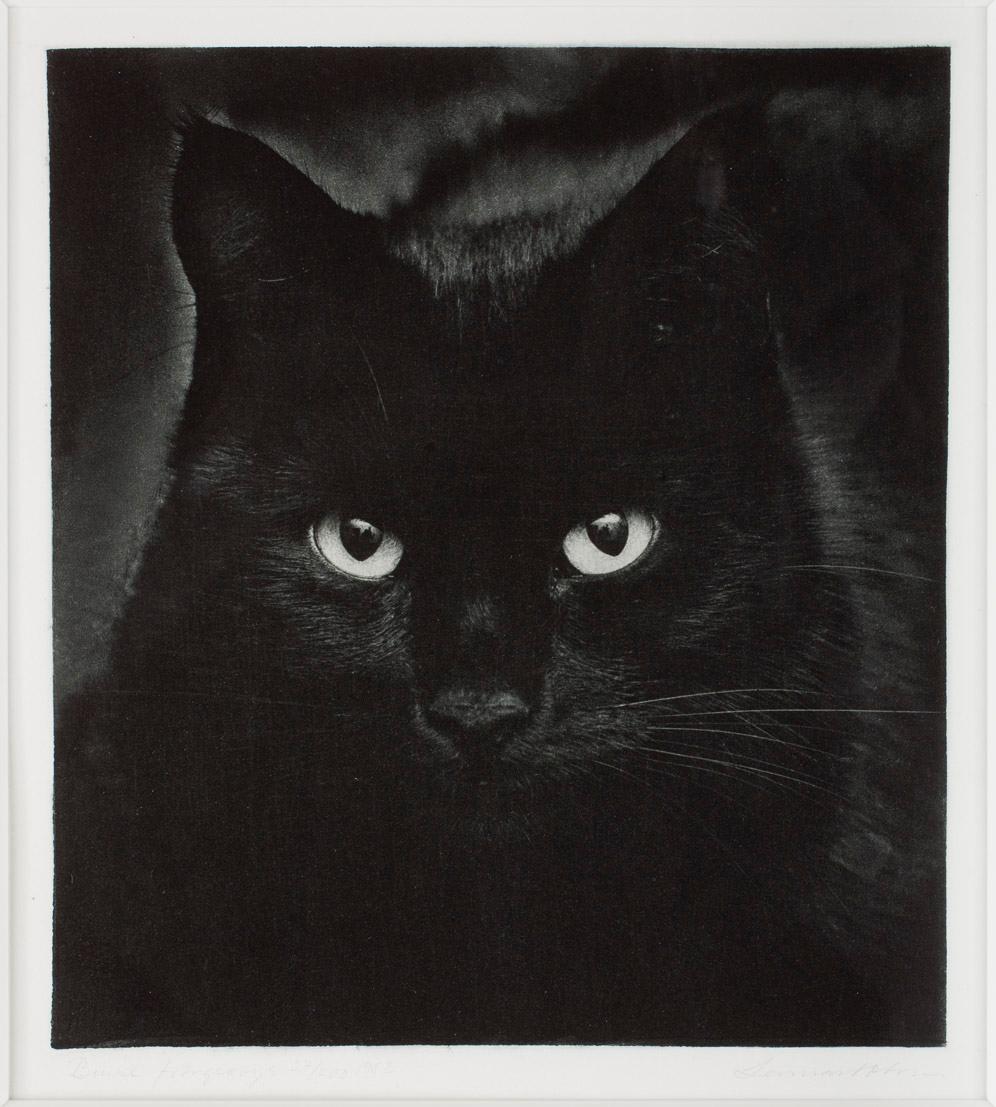 LENNART OLSON, Fotogravyr, sign o numr 27/200, 1982.