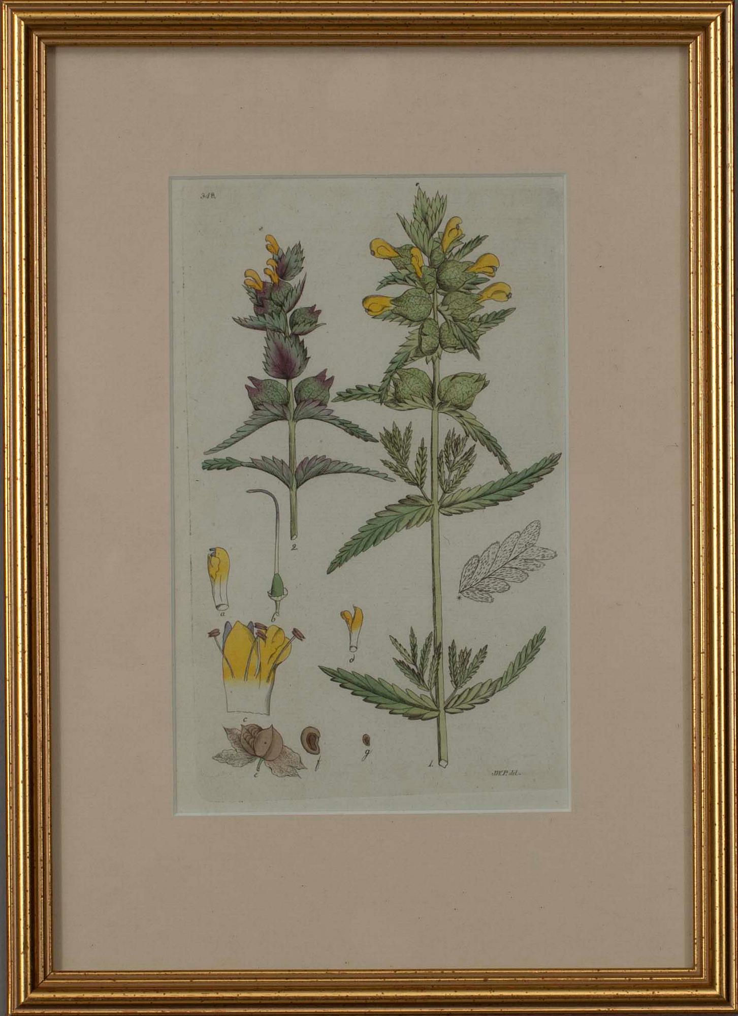 JOHAN WILHELM PALMSTRUCH, 4 st, handkolorerade kopparstick, 1800-talets början.