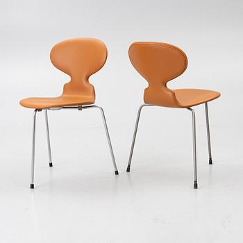 Arne Jacobsen, Chairs, 6, “Ant”, Fritz Hansen, 1950s/60s.
