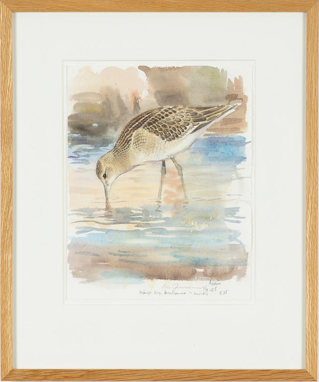 Lars Jonsson, "Brushane".