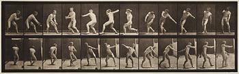 Eadweard Muybridge, Plate 284 from "Animal Locomotion", 1887.