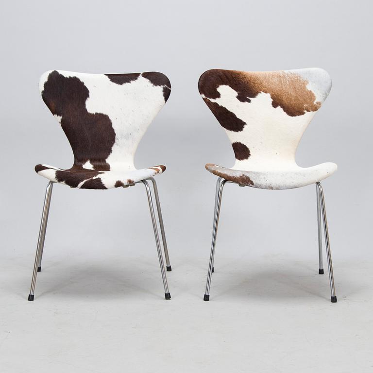 Arne Jacobsen, stolar, 6 st, "Sjuan", Fritz Hansen. 1900-talets slut.