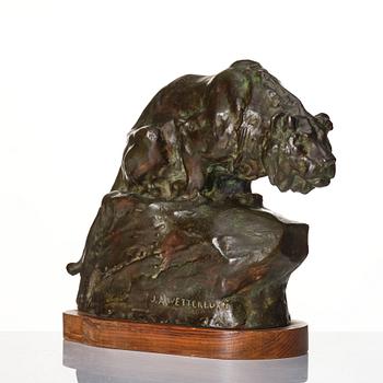 Johan Axel Wetterlund, Mountain lion.