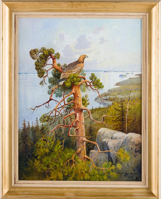 Ejnar Kohlmann, White-tailed eagle.