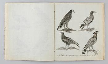 HÄFTE, 1800-tal, teckningar.