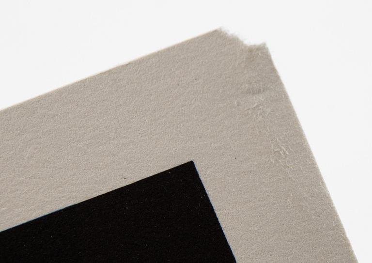 Carl Johan De Geer, lithograph in colours, signed EA.