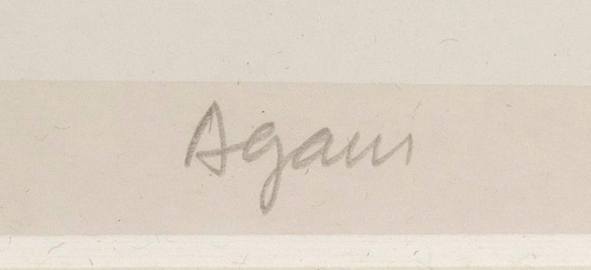 Yaacov Agam, Komposition.