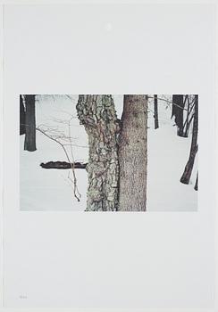 ANDREAS ERIKSSON, portfolio. Signed AE inside the box and numbered 18/250.