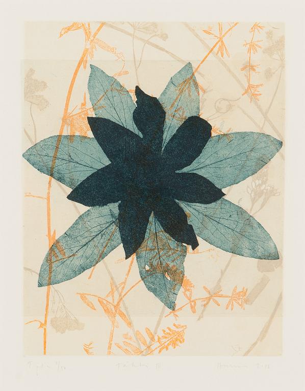 Pälvi Hanni, etching, signed and numbered T'pla 11/50.