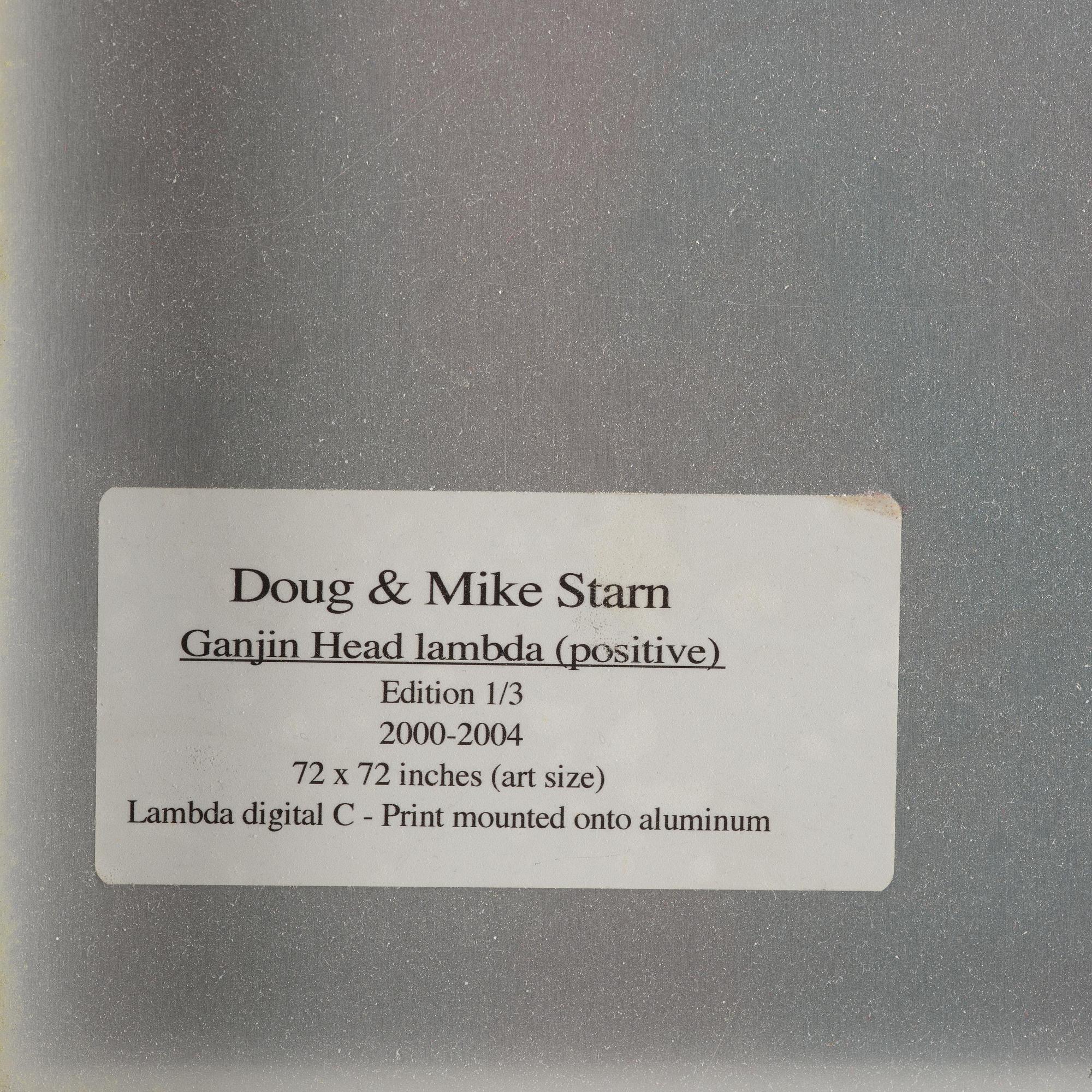 Mike & Doug Starn (Starn Twins), "Ganjin Head Lambda (positive)", 2000-2004.