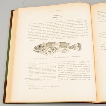 BOKVERK, 3 volymer, I+II+planschdel, "Skandinaviens Fiskar", FA Smitt, illustrerad av W von Wright, 2:a upplagan, 1895.