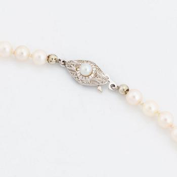 Cultured pearl necklace, clasp 18K white gold.