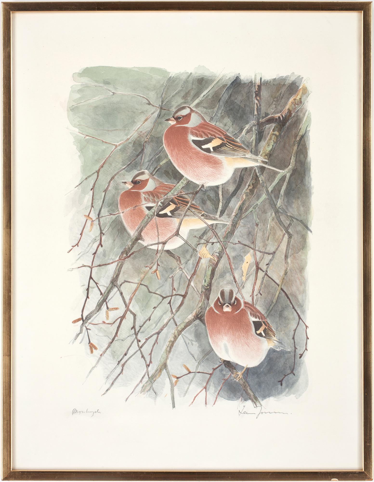 LARS JONSSON, provtryck, sign.