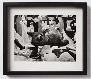 Christer Strömholm, ”Räven på Rue de Rennes”, sent 1970-tal.
