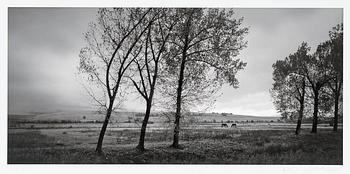 214. Pentti Sammallahti, "VRACANSKA PLANINA, BULGARIA".