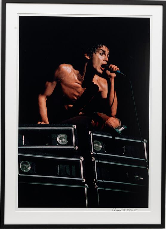 Torbjörn Calvero, "Iggy Pop", 1976.