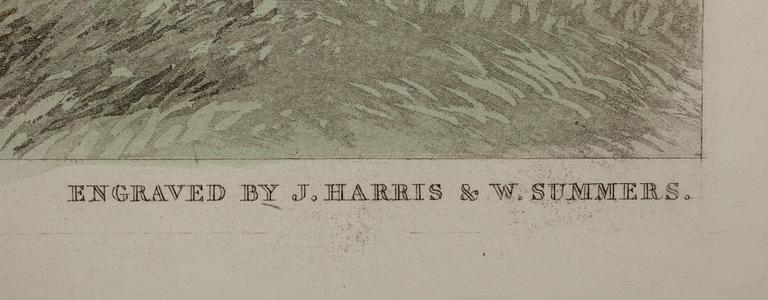 HARRY HALL, efter, kolorerad gravyr, gravör J. Harris & W. Summers. England 1855.