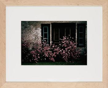 Hans Hammarskiöld, "Faludden, Gotland, 1975".