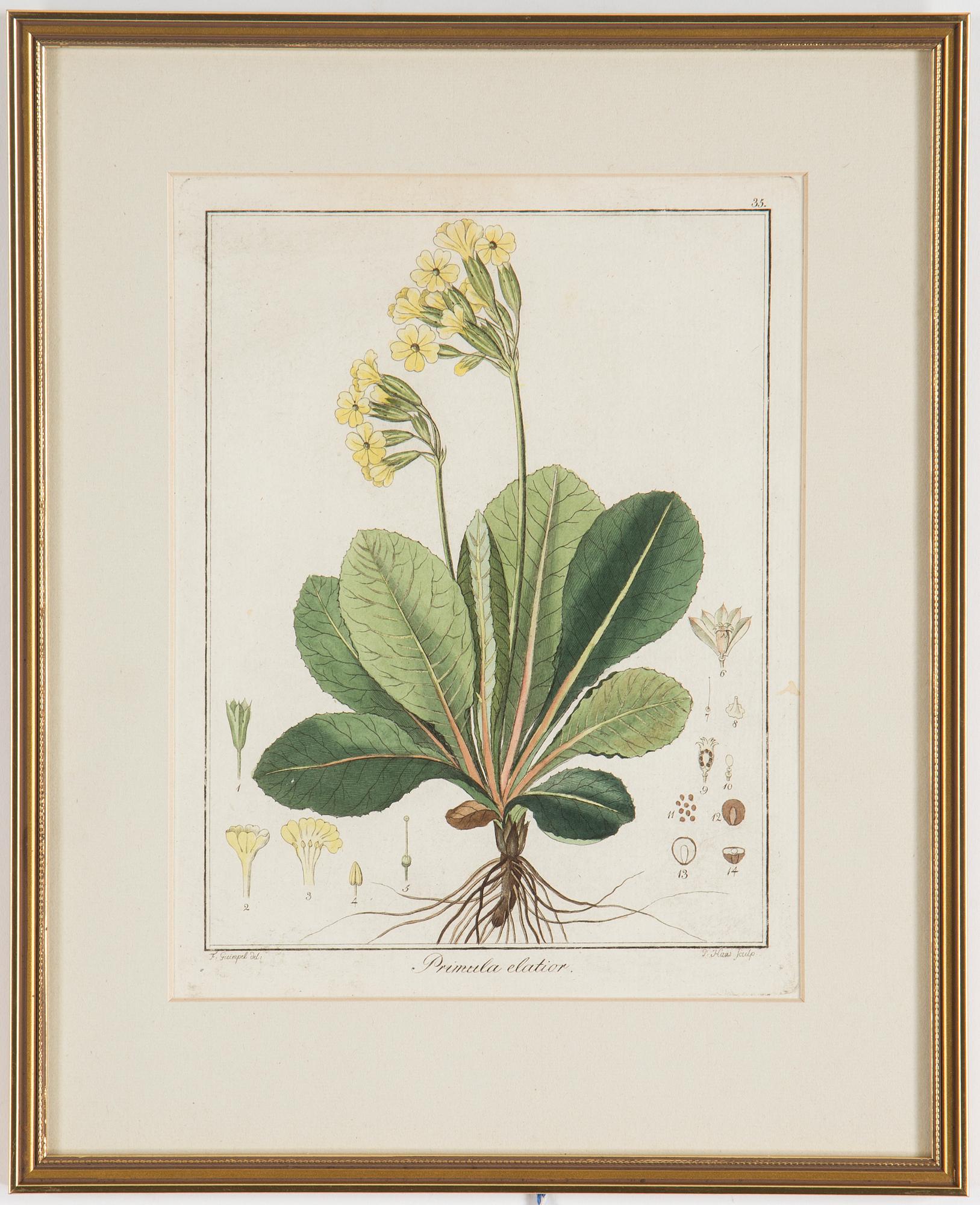 Four 18th century hand coloured engravings.