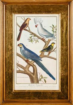 GRAVYRER, 2 st, efter Martinet, kolorerade, 1800-tal.