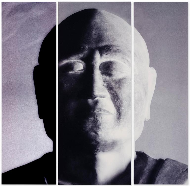 Mike & Doug Starn (Starn Twins), "Ganjin Head Lambda (positive)", 2000-2004.