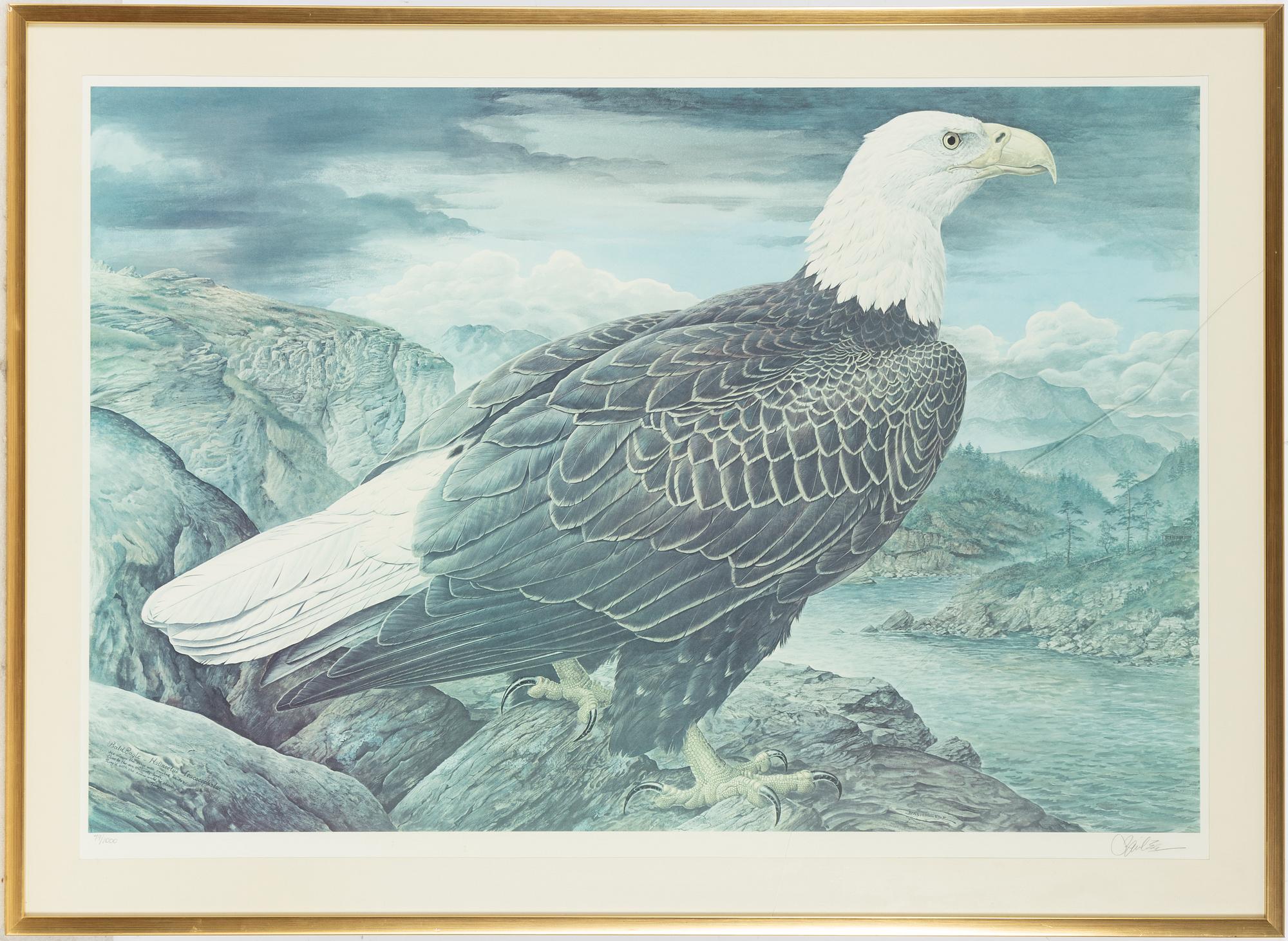 Basil Ede,  "Bald Eagle".